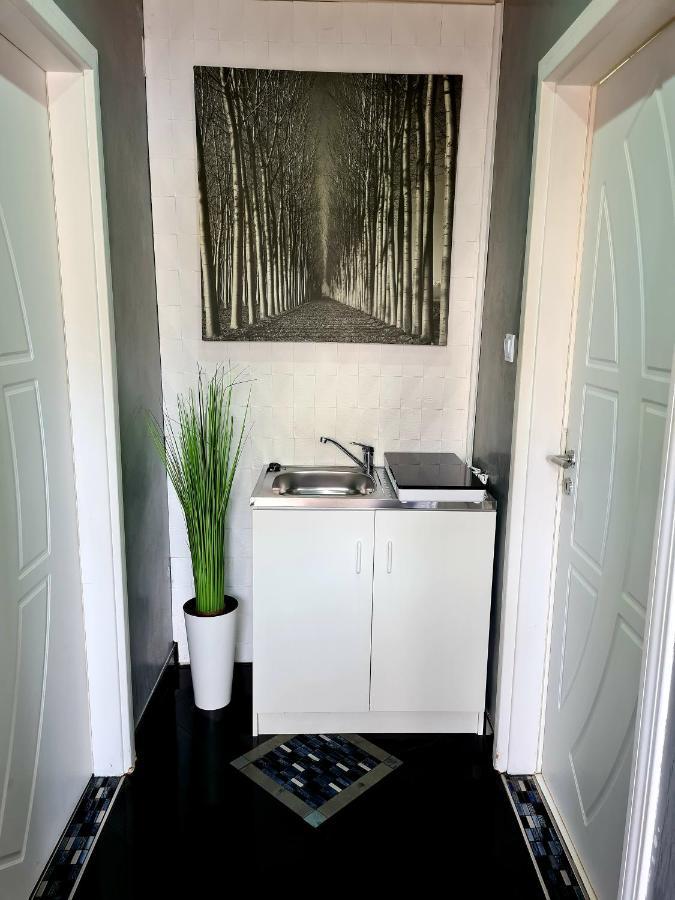 Airport Luxury Apartman 42 เวคชีส์ ภายนอก รูปภาพ
